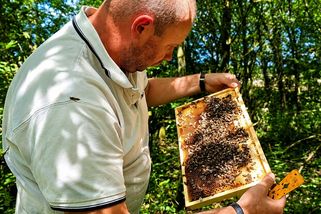 Pracovní den, který nikdo nechce. U včelařů ale běžná praxe - Seznam Zprávy